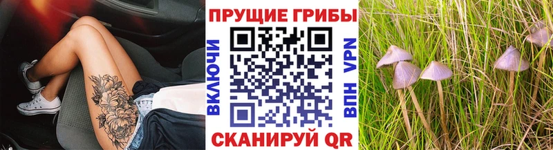 Галлюциногенные грибы Psilocybine cubensis  Купить где  Новое Девяткино 